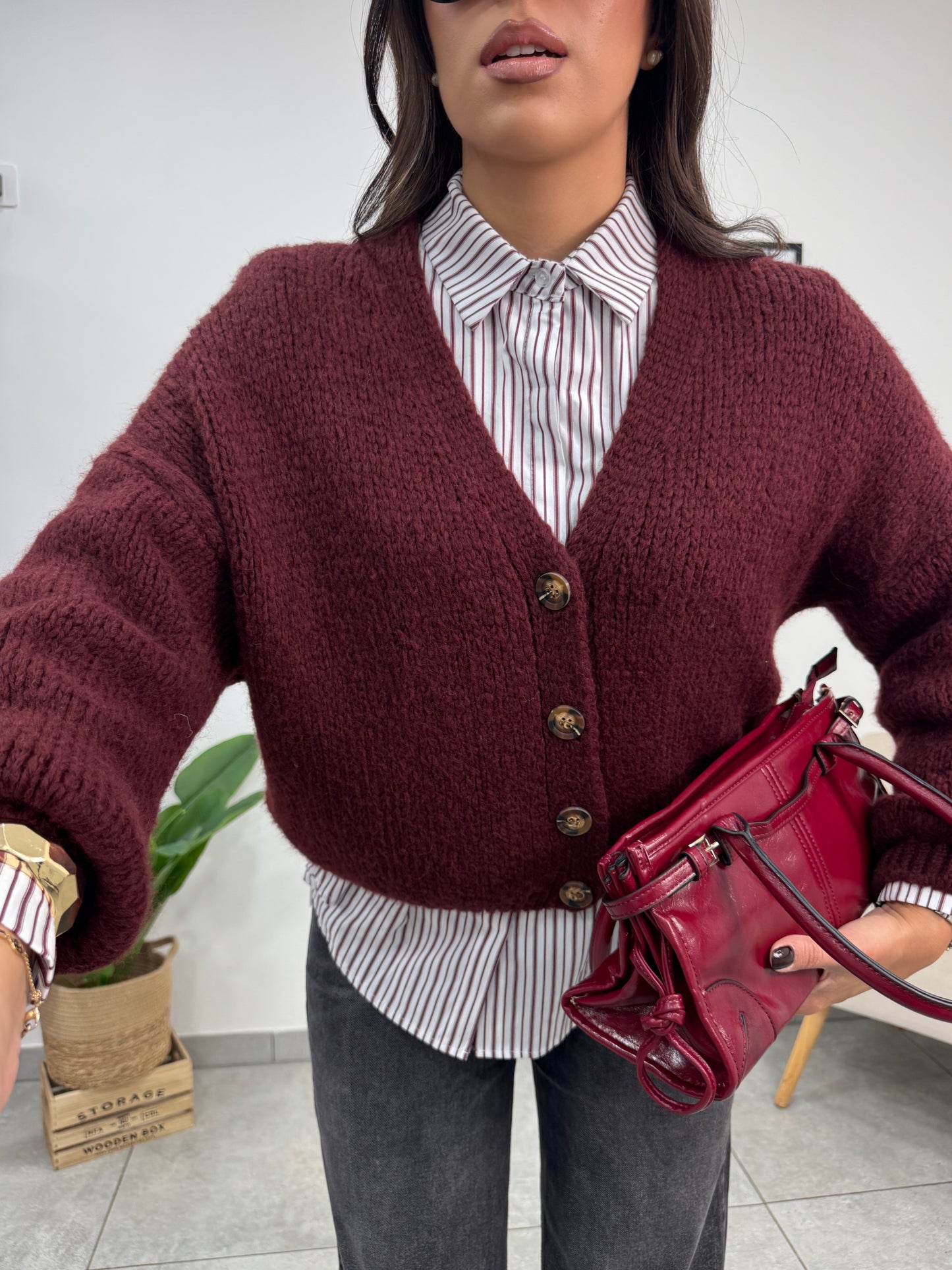 Camicia Righe Bordeaux 1